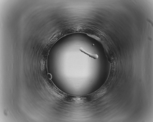 X0000101170558200807071224