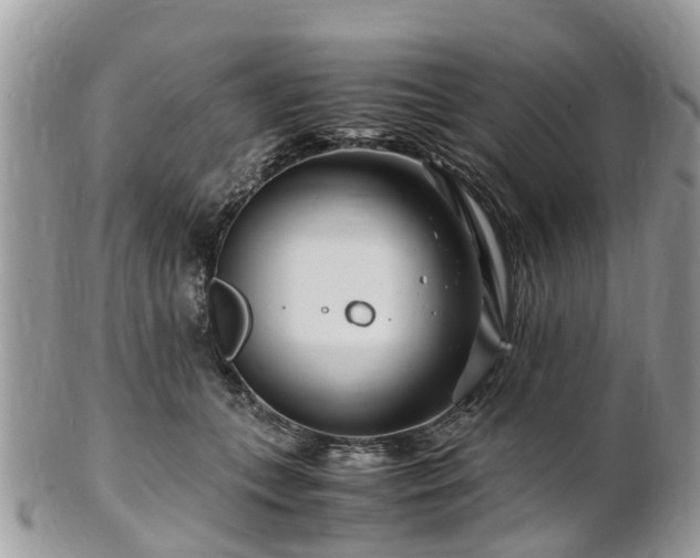X0000101170559200807071224