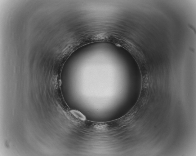 X0000101170560200807071224