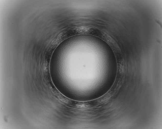 X0000101170561200807071224