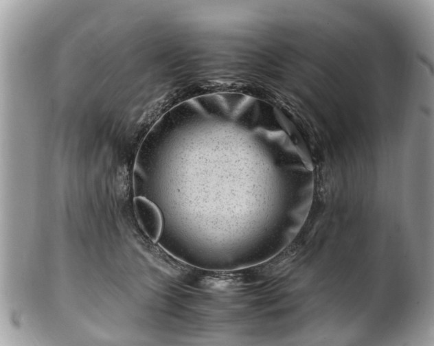 X0000101170563200807071224
