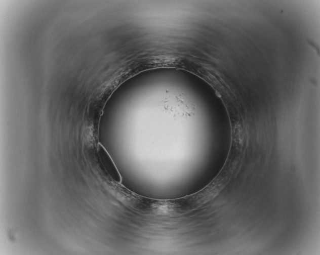 X0000101170564200807071224