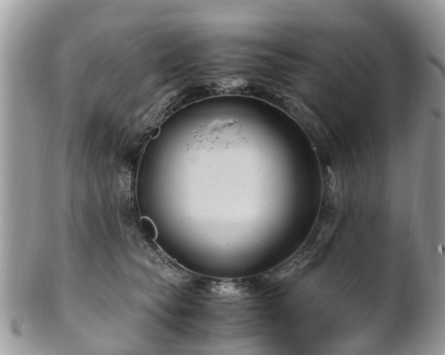 X0000101170565200807071224