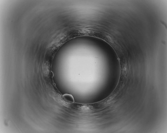 X0000101170566200807071224