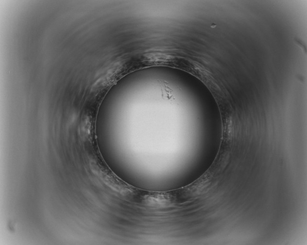 X0000101170567200807071224