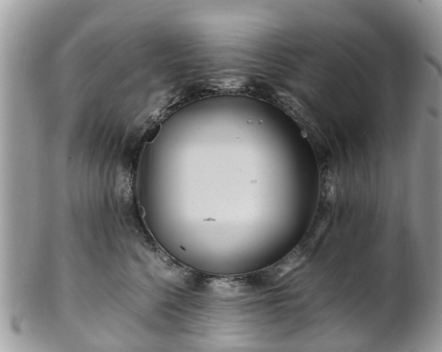 X0000101170568200807071224