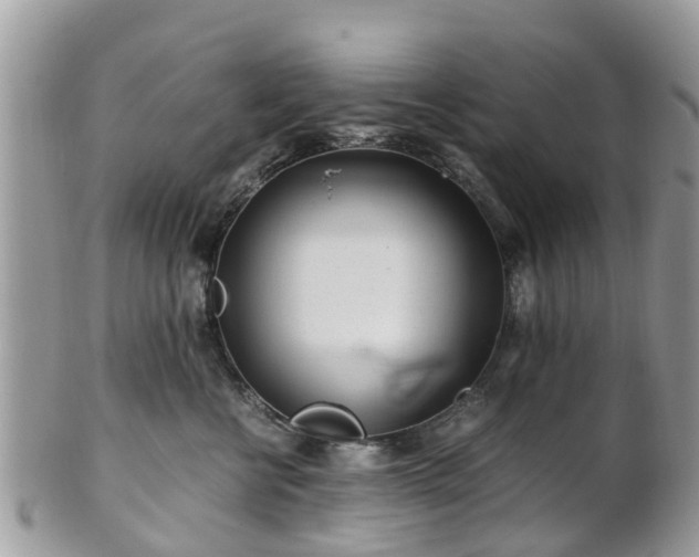 X0000101170570200807071224