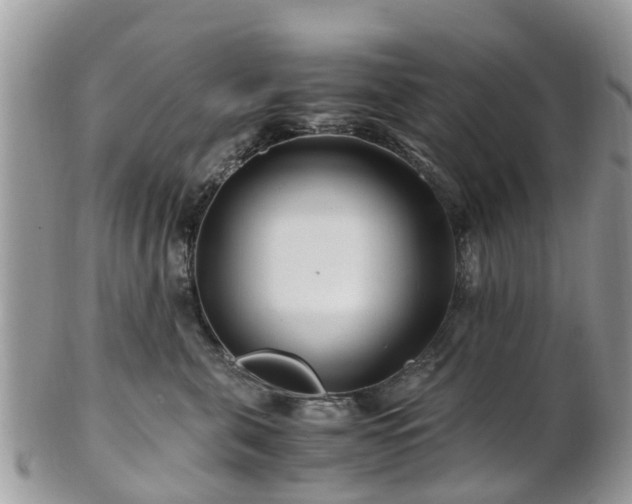 X0000101170571200807071224
