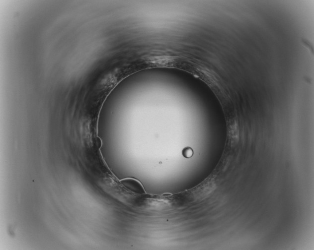 X0000101170572200807071224