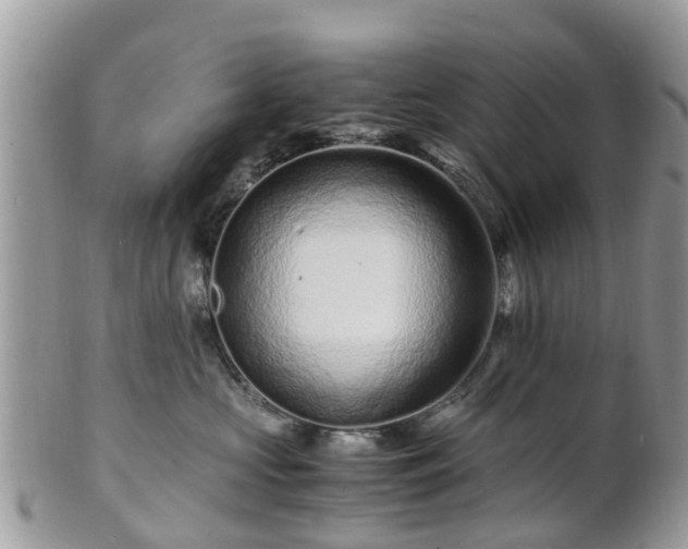 X0000101170573200807071224