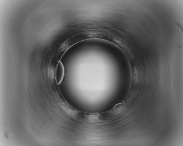 X0000101170574200807071224