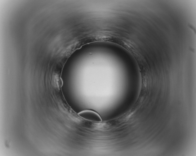 X0000101170575200807071224