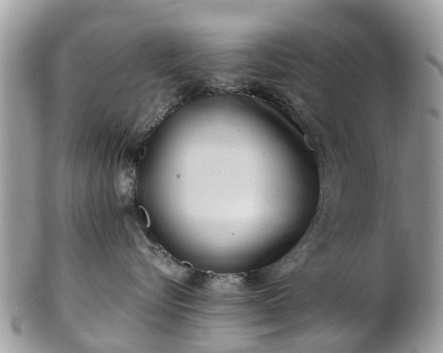 X0000101170576200807071224