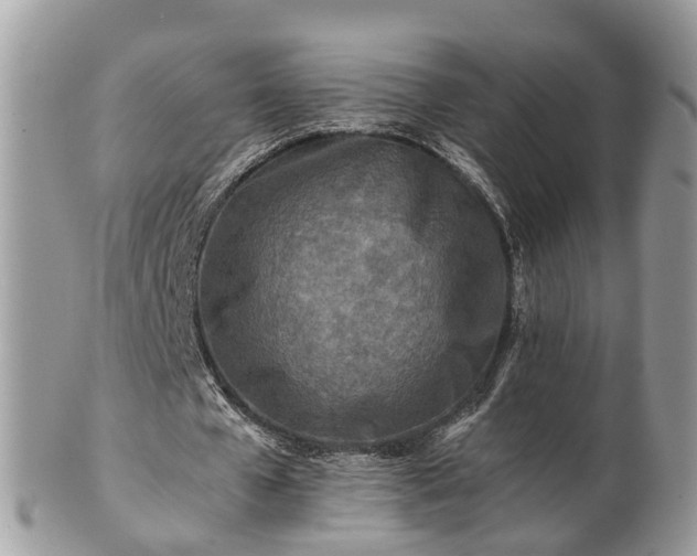 X0000101170577200807071224