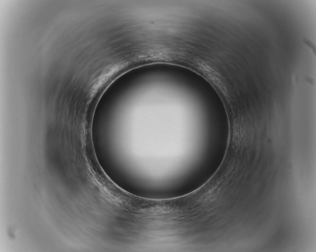 X0000101170578200807071224