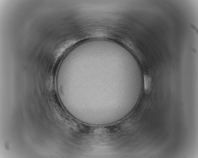 X0000101170579200807071224