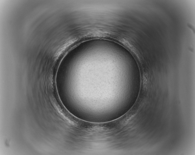 X0000101170581200807071224
