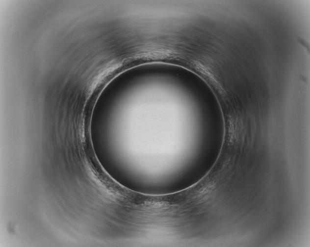 X0000101170582200807071224
