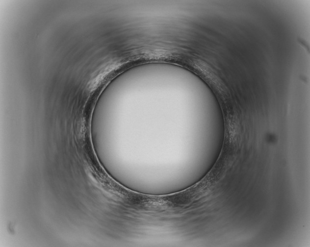 X0000101170583200807071223