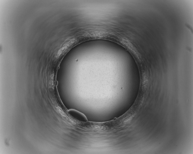 X0000101170585200807071223