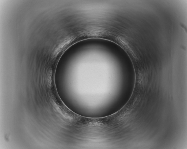 X0000101170586200807071223