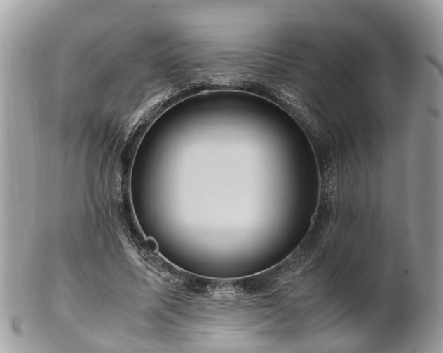 X0000101170587200807071223