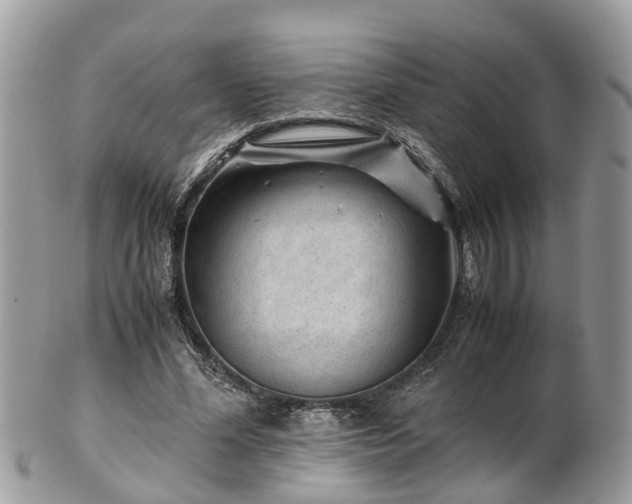 X0000101170588200807071223