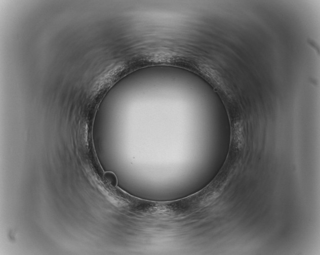 X0000101170589200807071223