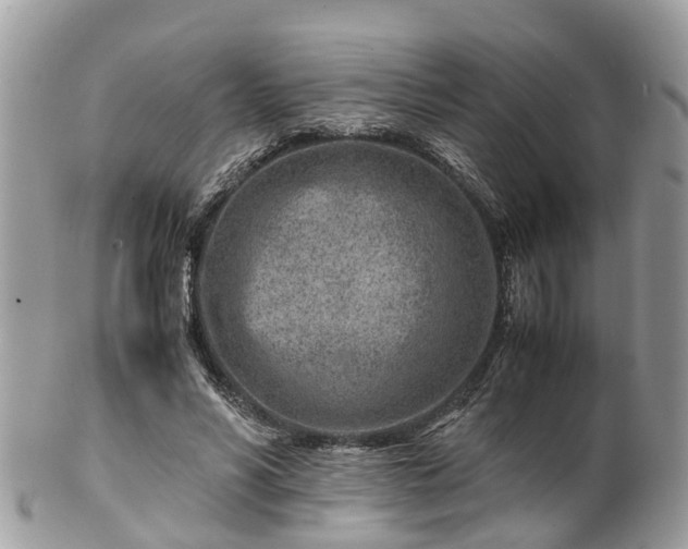 X0000101170590200807071223