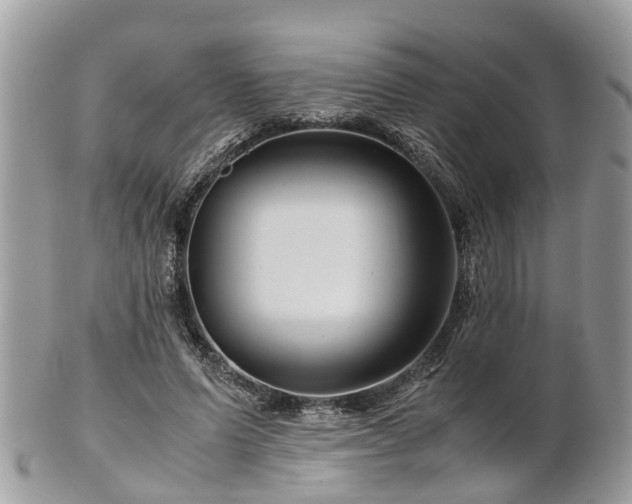 X0000101170591200807071223