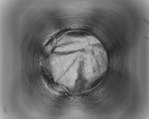 X0000101170592200807071223