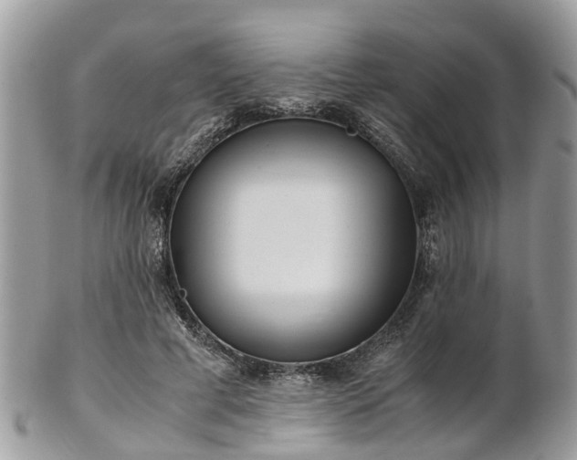 X0000101170593200807071223
