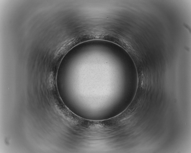 X0000101170594200807071223