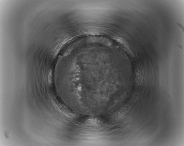 X0000101170596200807071223