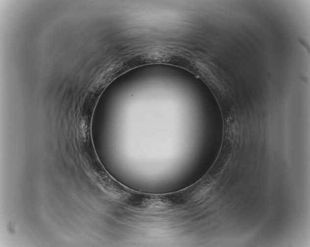 X0000101170597200807071223