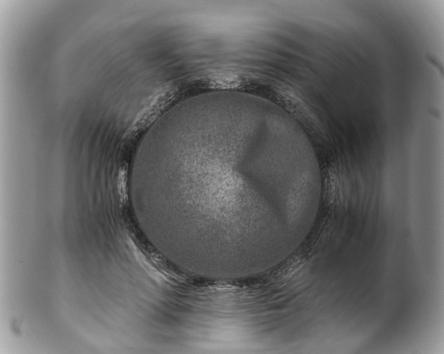 X0000101170598200807071223