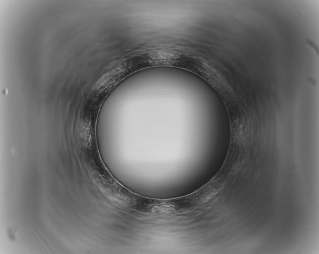 X0000101170599200807071223