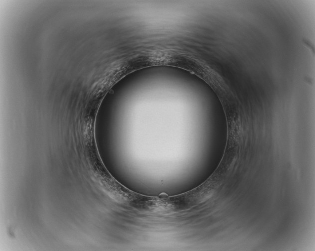 X0000101170601200807071223