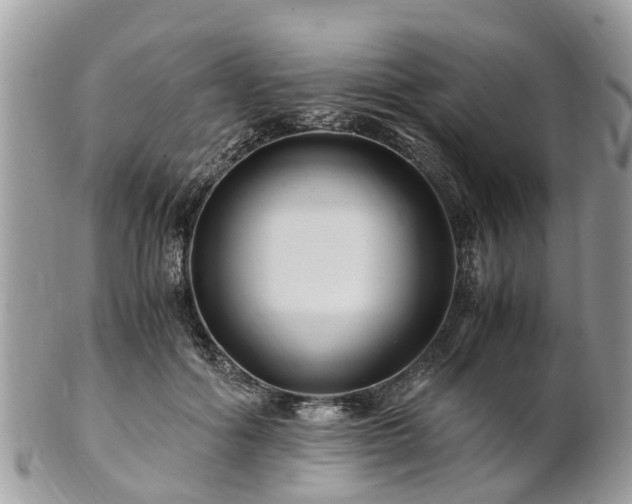 X0000101170602200807071223
