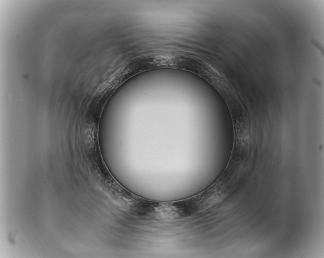 X0000101170603200807071223