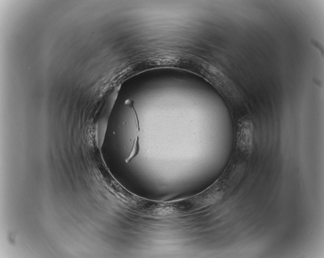 X0000101170604200807071223