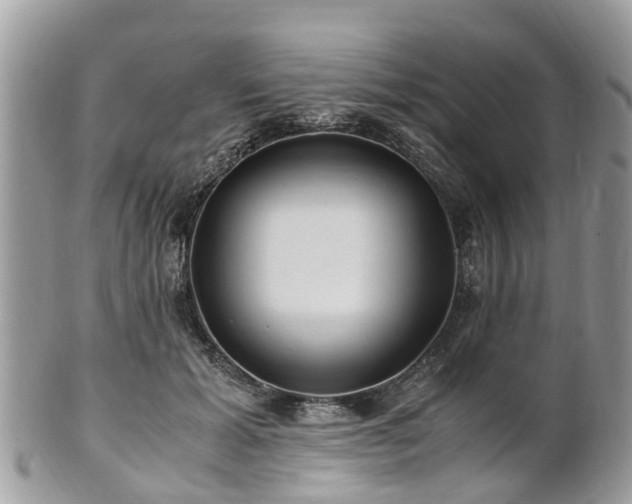 X0000101170605200807071223