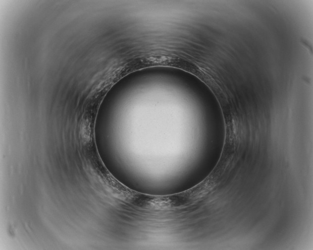 X0000101170606200807071223