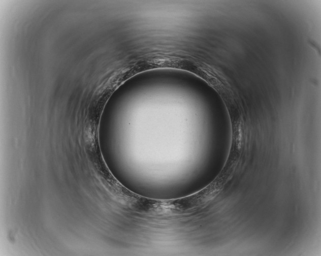 X0000101170607200807071223
