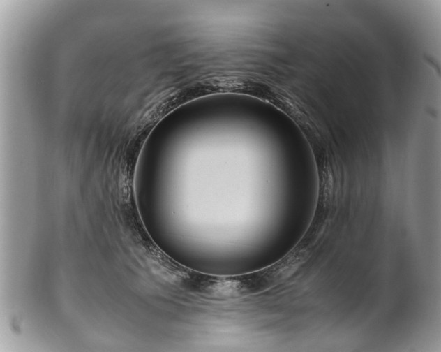 X0000101170609200807071223