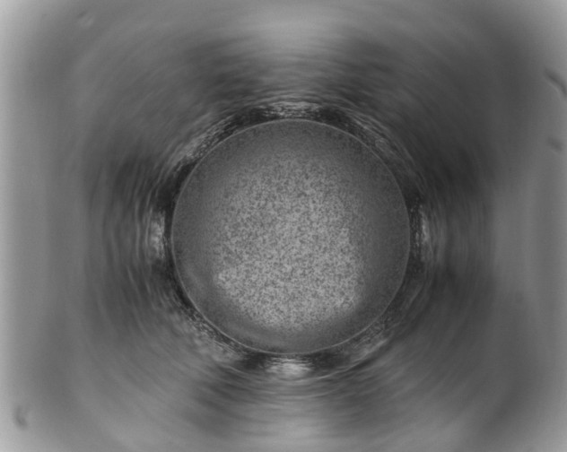 X0000101170610200807071223