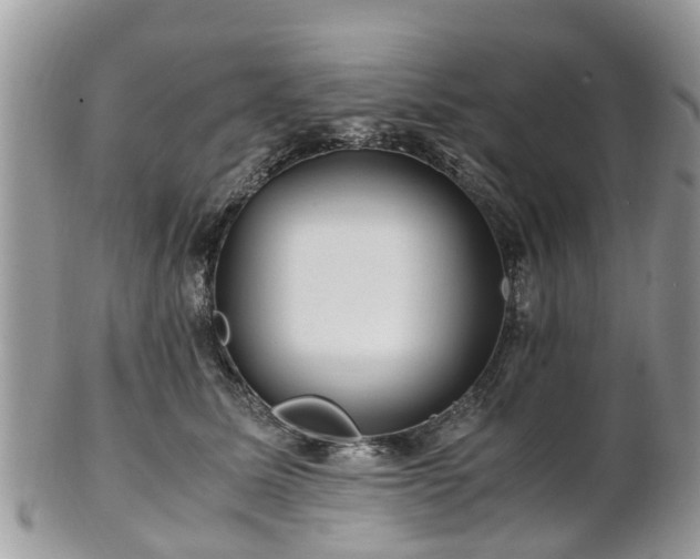 X0000101170611200807071223