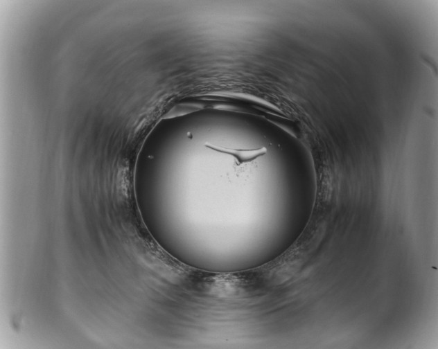 X0000101170612200807071223