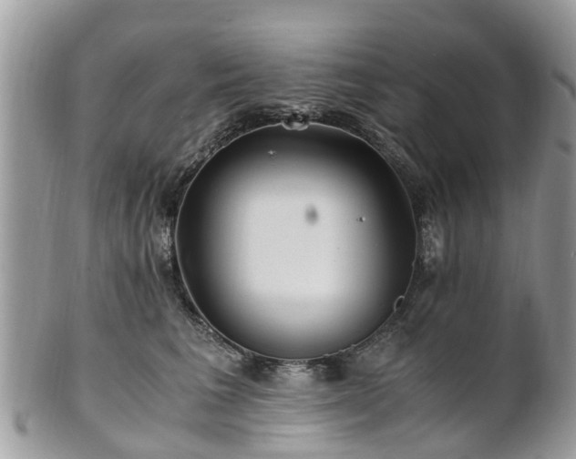 X0000101170613200807071223