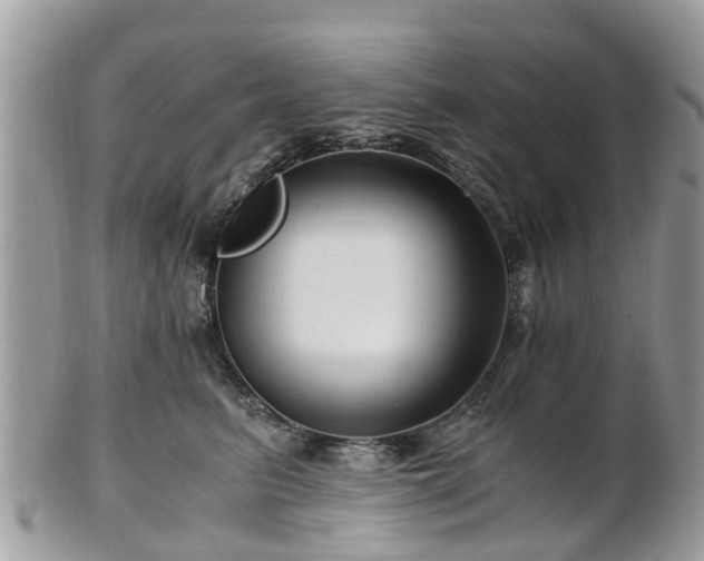 X0000101170615200807071223